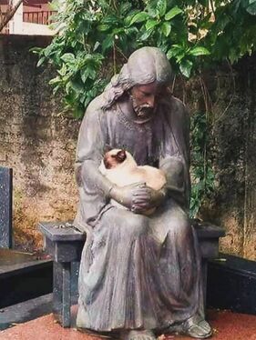 Котостольская преемственность