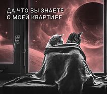 29.4.2020: Коты в космосе.