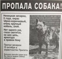 26.4.2018: Чернобыльское объявление в газете