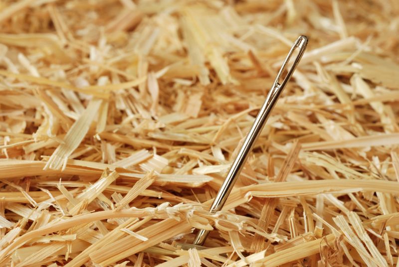 Файл:Needle haystack.jpg