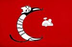 Флаг-Турции.jpg