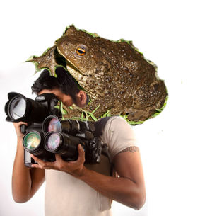 Жаба душит фотографа.jpg