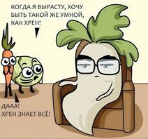 8.4.2026: Хреновая репутация.