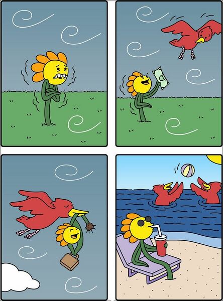 Файл:Цветок-на-югах.jpg
