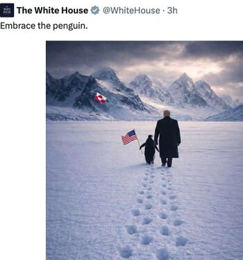 Официальный аккаунт Белого Дома считает, что пингвины водятся в Гренландии, а не в Антарктиде и почему то нуждаются в том, чтобы их обнимал (embrace) Трамп