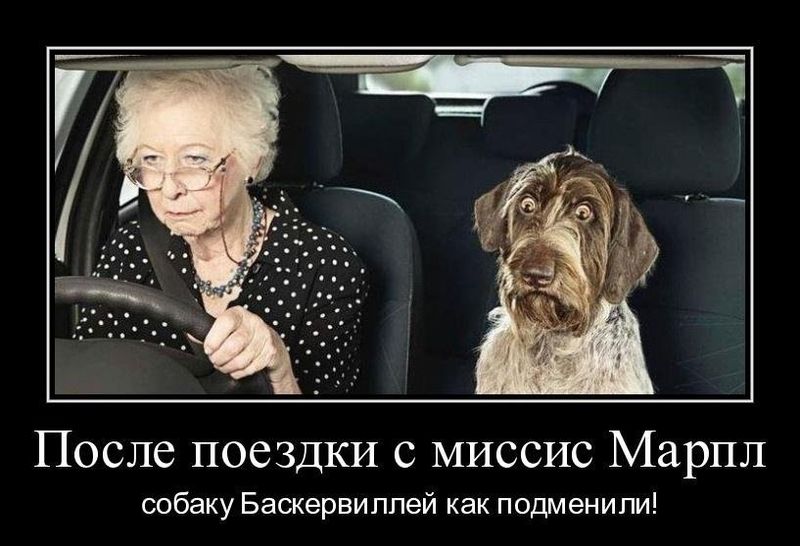 Файл:Собака и Марпл.jpg