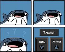 1.8.2025: Проблемы китовой акулы.