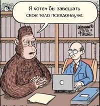 3.8.2025: Сознательный йети.