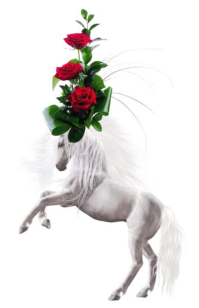 Файл:Лошадь с розами.jpg