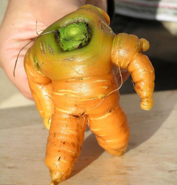 Файл:Овощ-космонавт.jpg