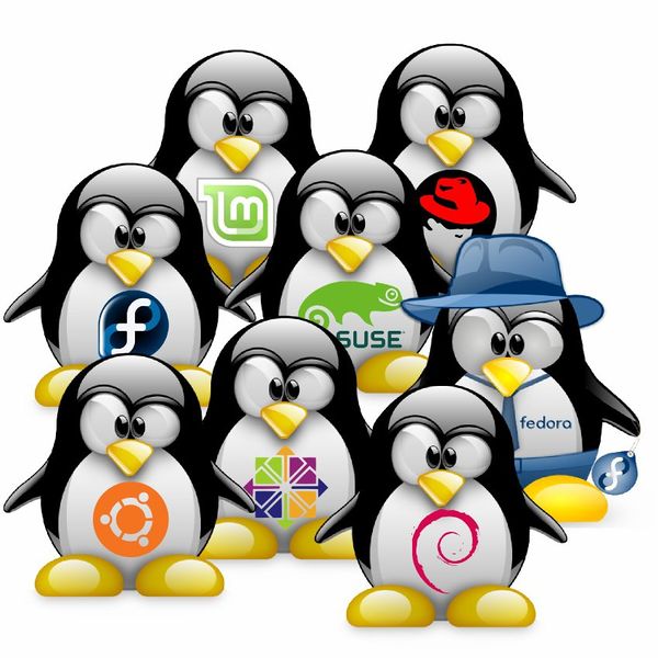 Файл:Linux-Tux.jpg