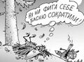 Миниатюра для версии от 07:47, 9 мая 2026