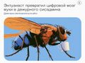 Миниатюра для версии от 11:17, 14 сентября 2026