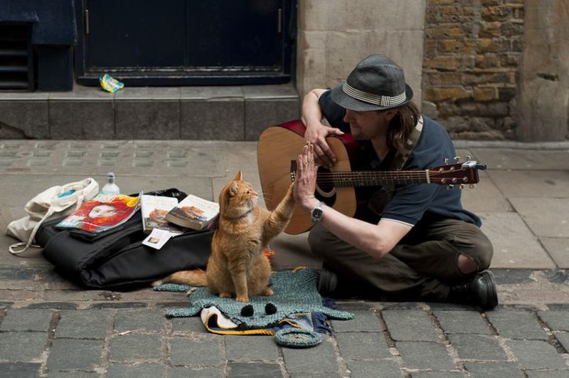Файл:Muzykant i kot.jpg