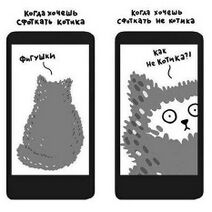 2.4.2026: Котофотогеничность.