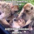 Э-обезьяны-Петросян.jpg