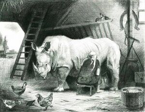 Доение-носорога.jpg